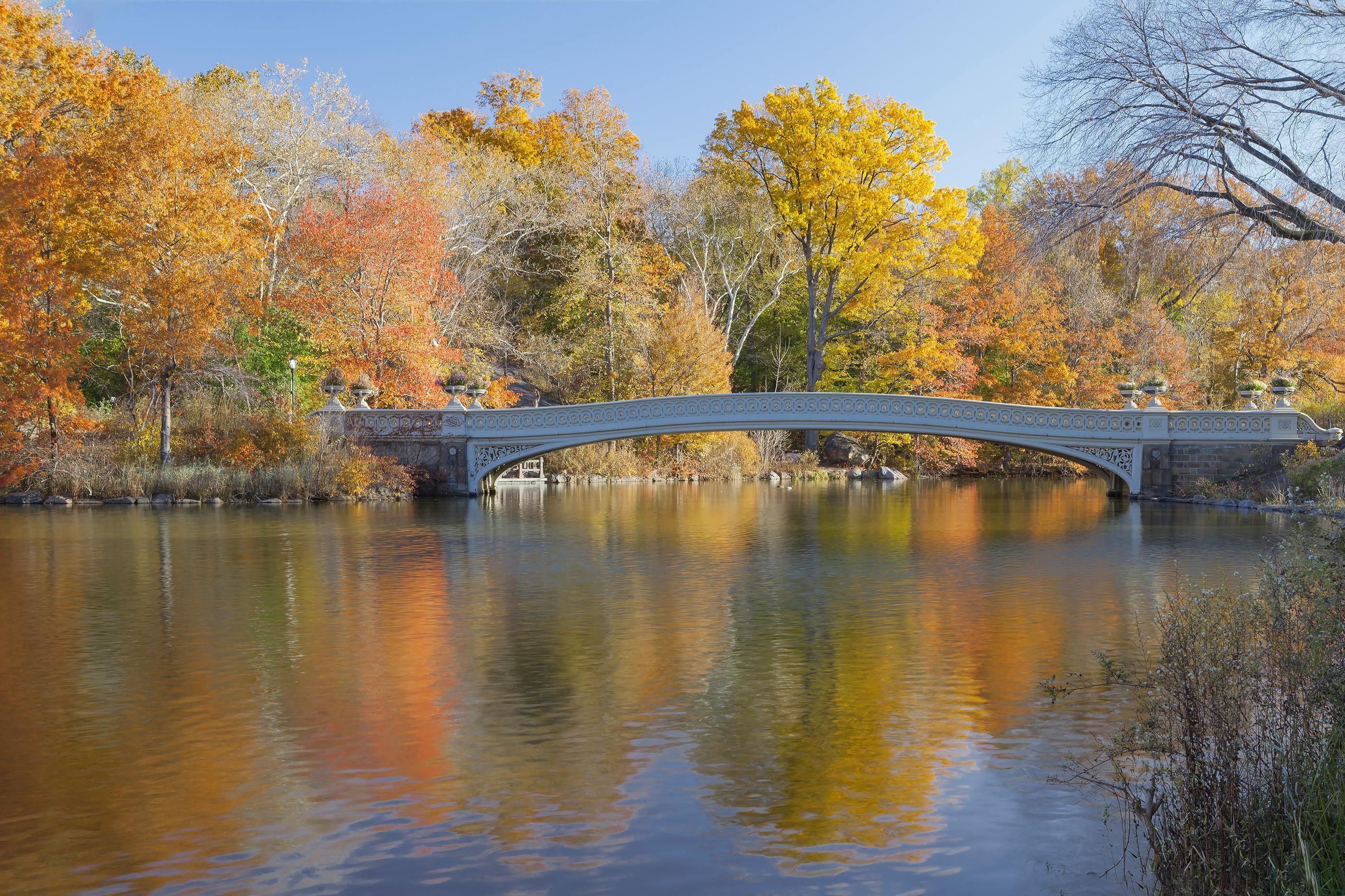 Walter White from Breaking Bad