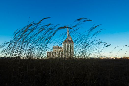 Modern Building Photographed from Behind Wild Grass