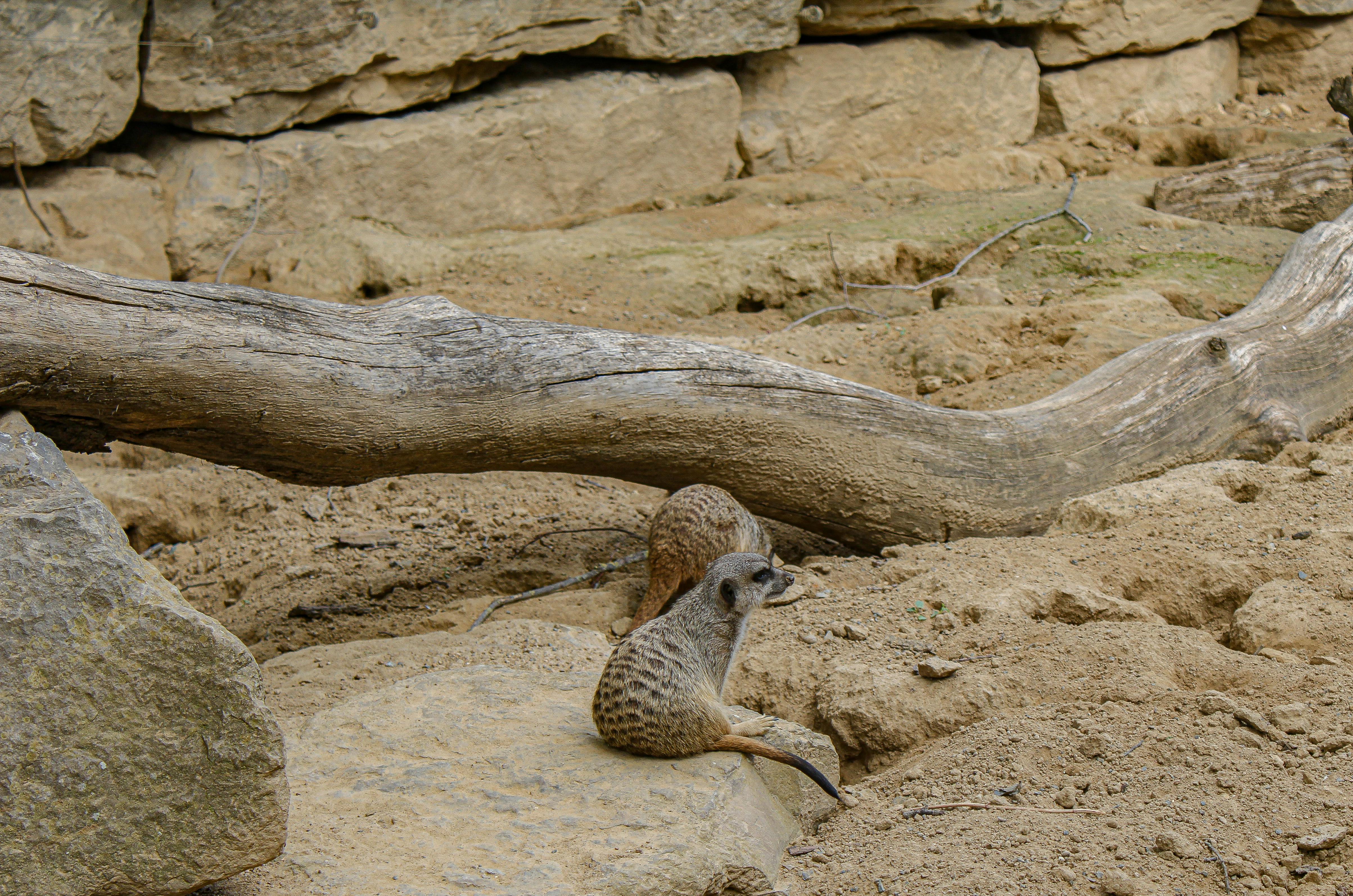 サンフランシスコ連銀 政策の転換を示唆する連邦準備制度理事会の建物