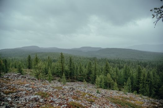 Neskantaga First Nation Demands Action After 2nd Evacuation This Summer