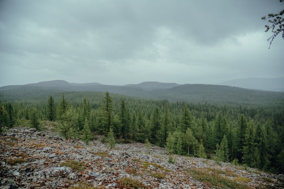 Yamalo-Nenets Autonomous Okrug, Russia - travel photo