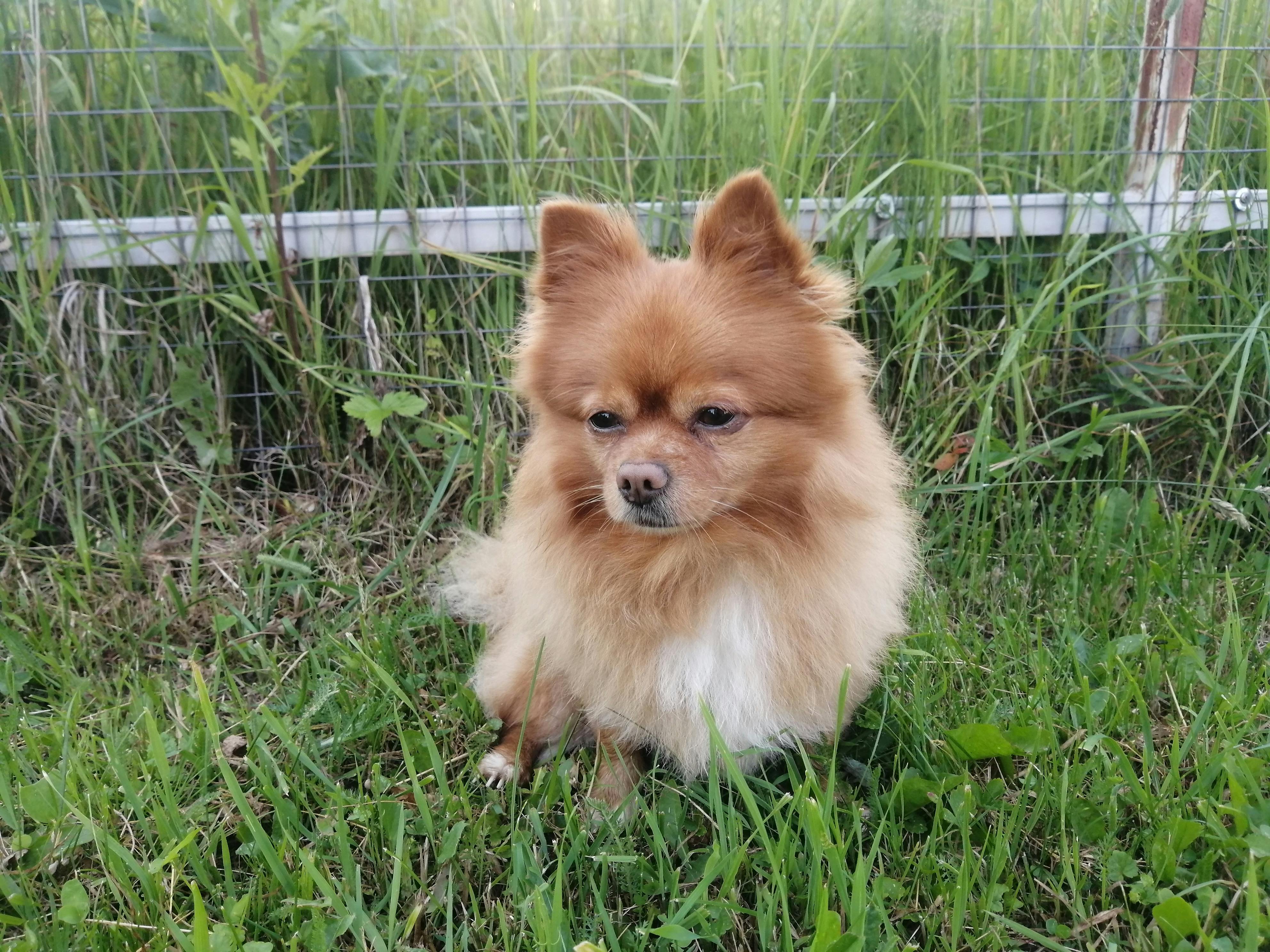 Custom Bust Sculpture