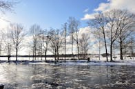 宁静的冬日景象中，光秃秃的树木倒映在冰冻的湖面上，映衬着清澈的蓝天