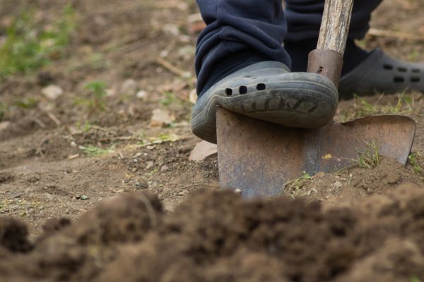 Digging and maintaining metal detecting equipment