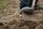 digging