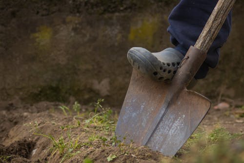 Photo of a Person Digging