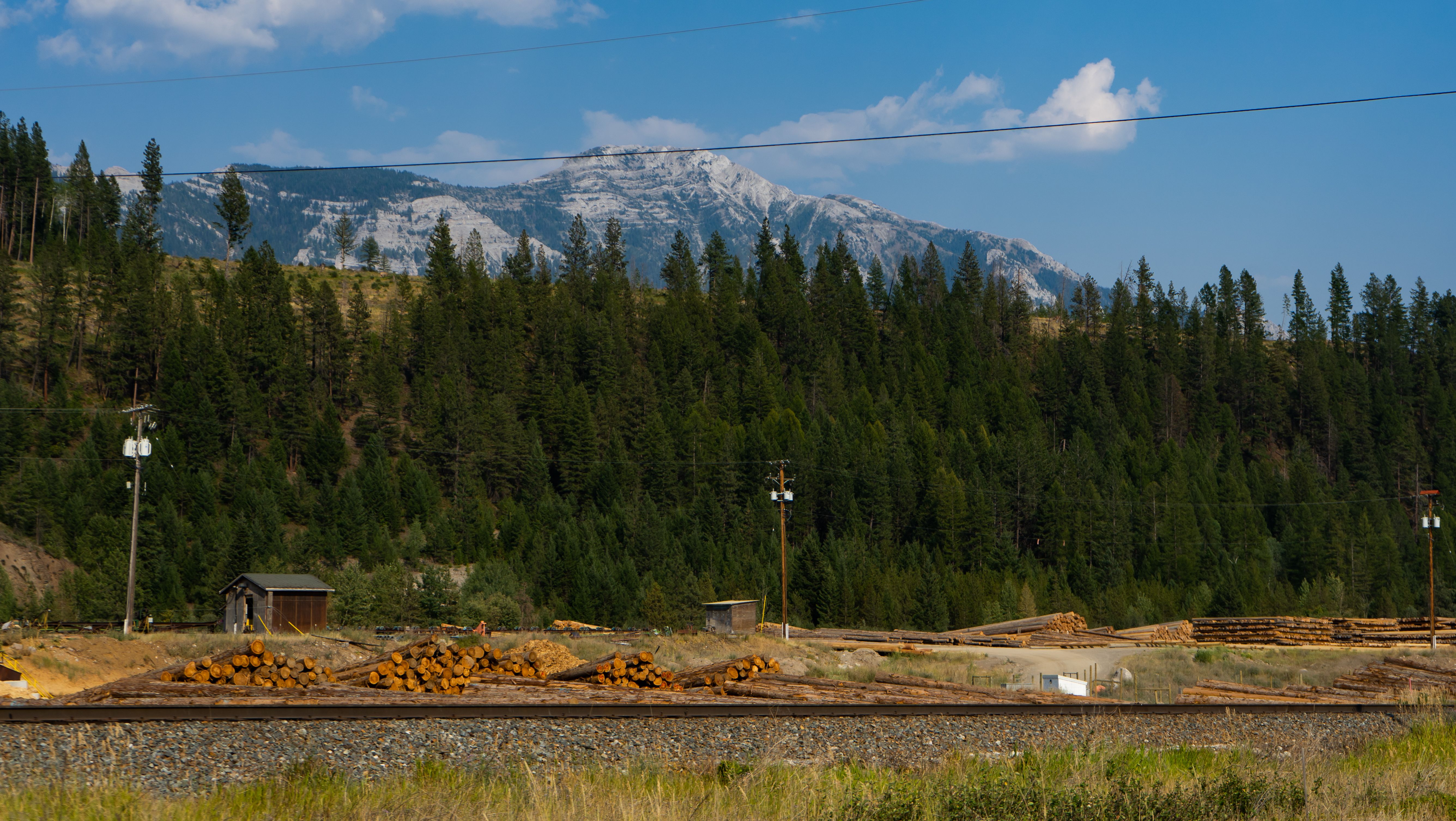 Canadian Forestry Crisis Raises Construction Cost Questions for Housing