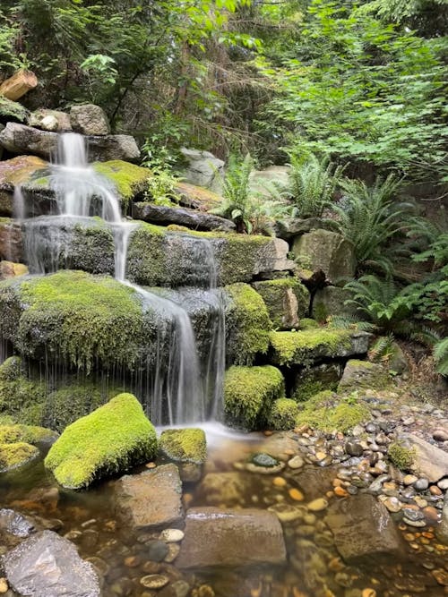 Waterfalls on Green Moss Covered Rocks