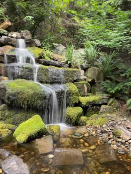 Serene waterfall in a lush forest setting with moss-covered rocks and gentle stream.