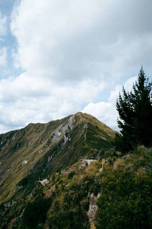 Scenic View of a Mountain