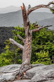 Image by Be The Observer