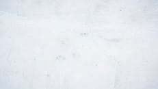 White Wall in Close-up Photography