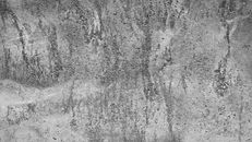 Concrete Flooring