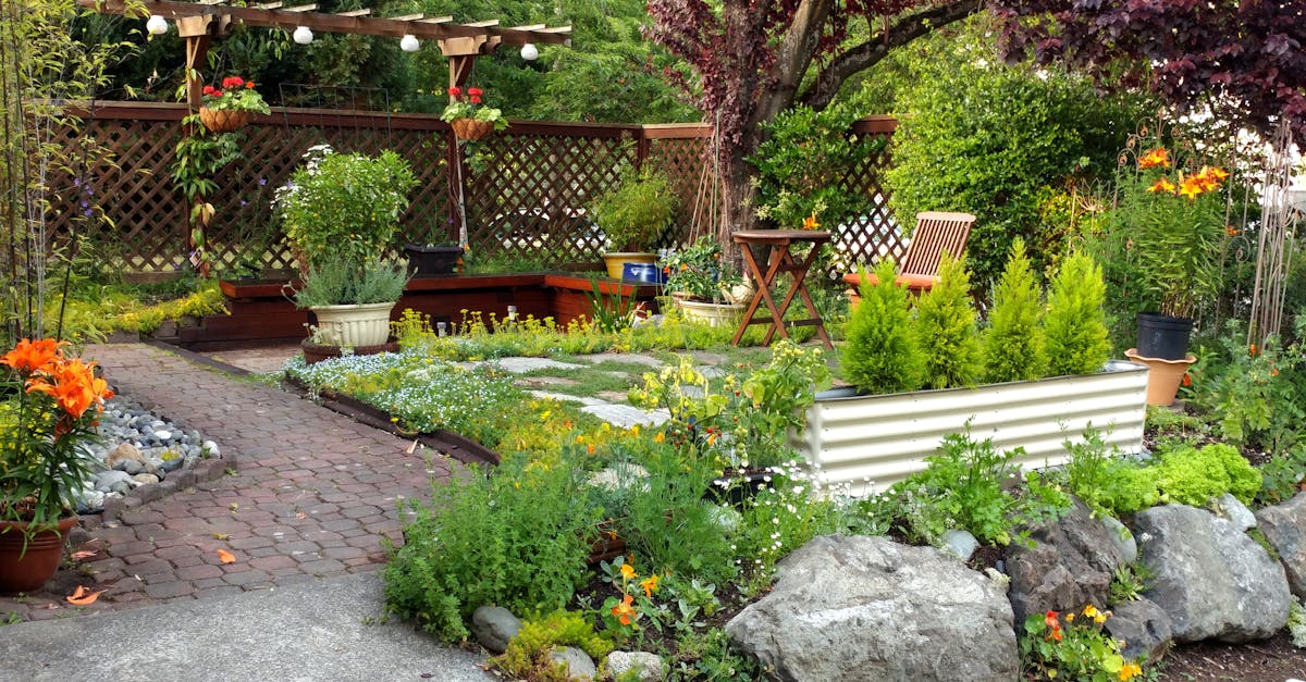 Free stock photo of city gardens, Frontyard, garden