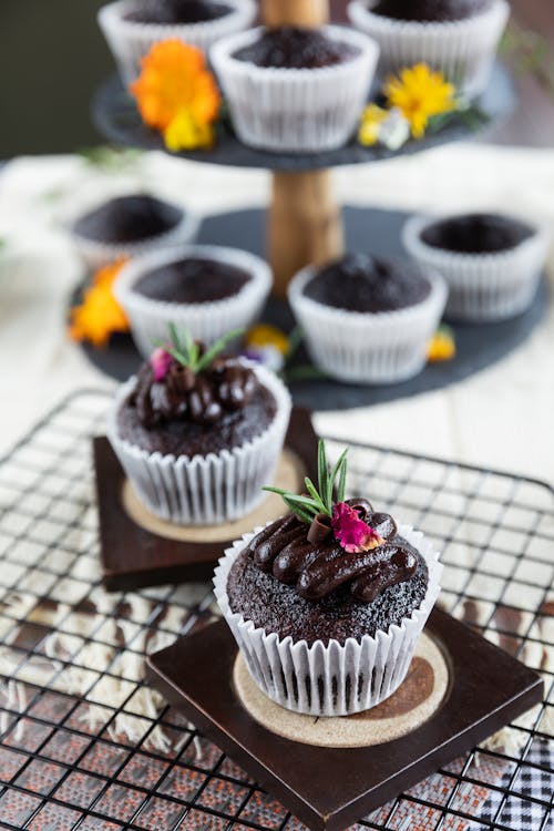 Free Shallow Focus of Chocolate Cupcakes Stock Photo