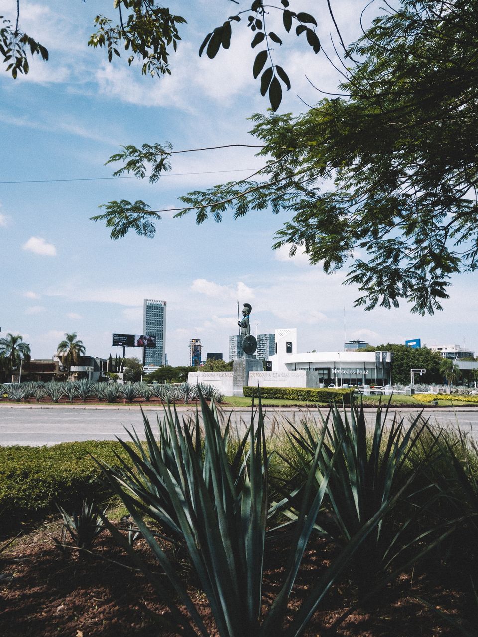 in Guadalajara