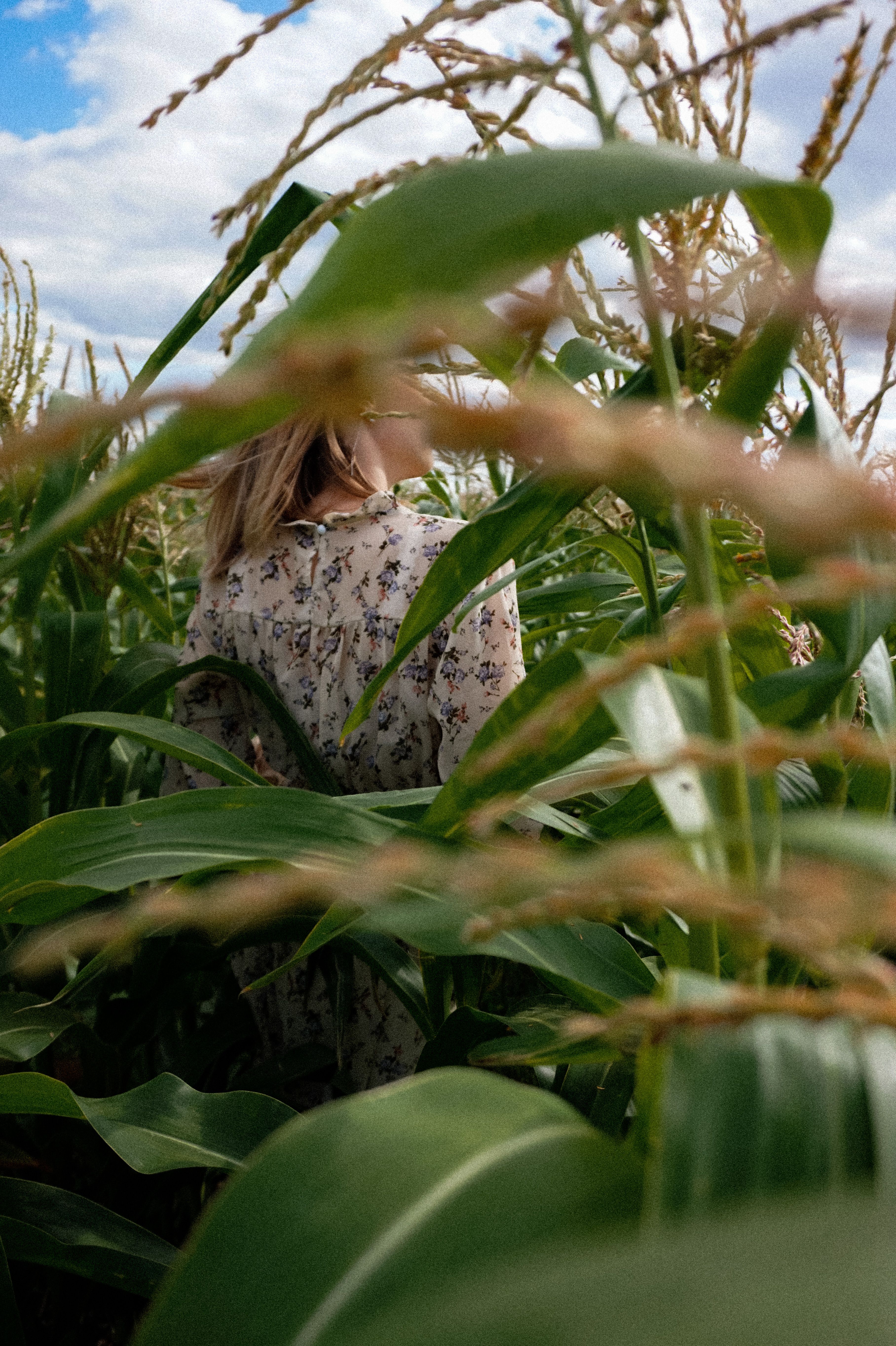 A woman in a floral dress stands amidst tall green corn plants under a blue sky.