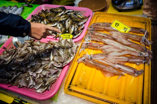 Close-up of fresh fish and squid on display at an Asian seafood market stall with hand pointing.