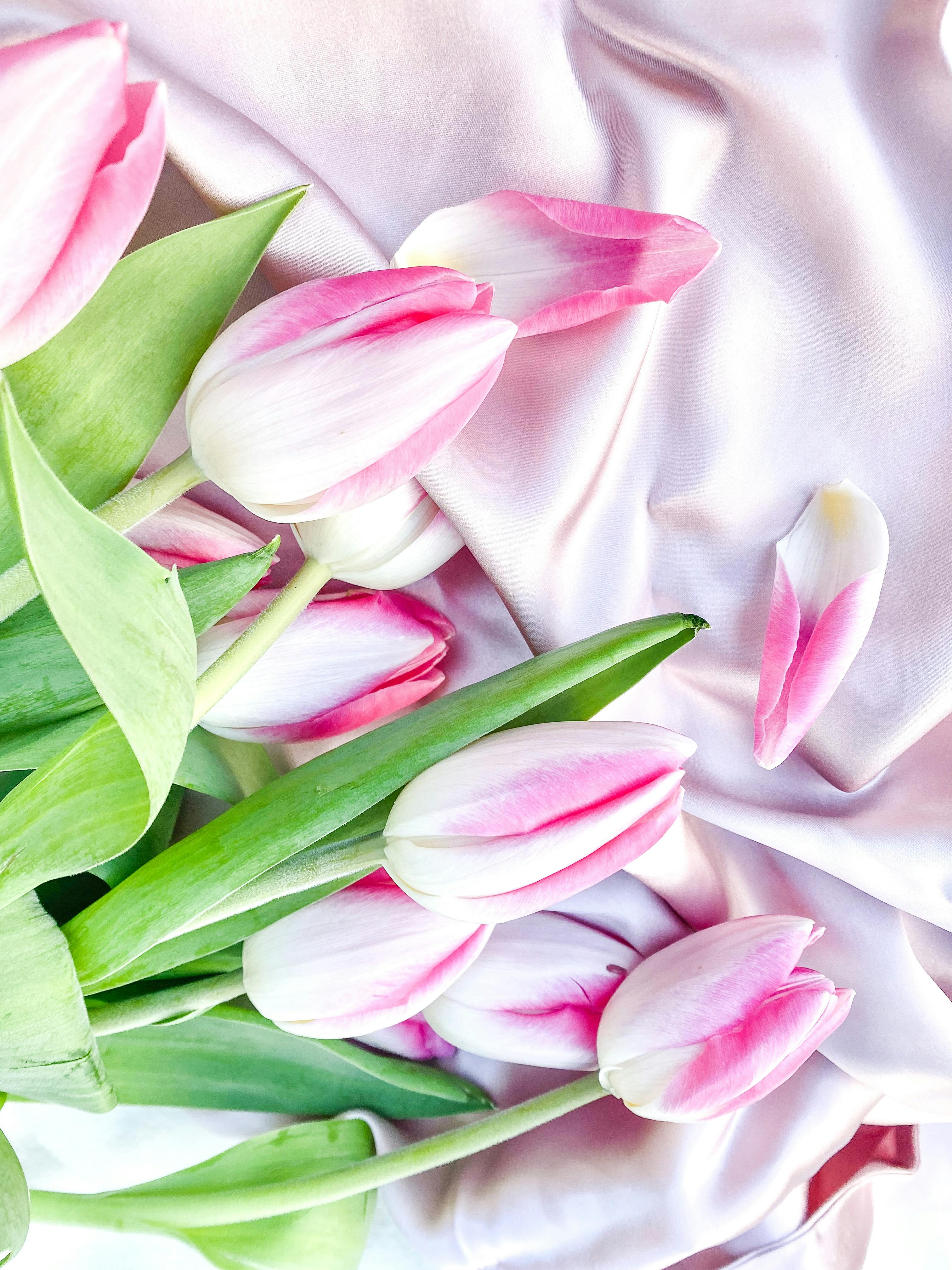 Download wallpaper 1125x2436 heart shapes flowers pink tulips iphone x  1125x2436 hd background 18701