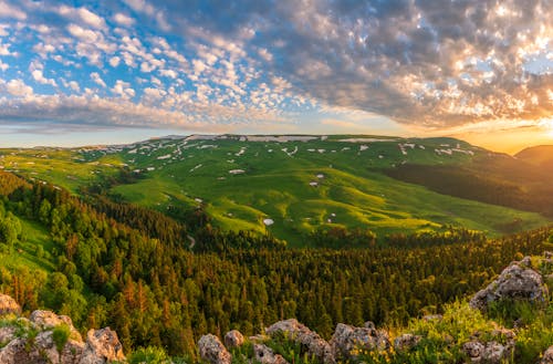 ağaçlar, arazi, bulutlar içeren Ücretsiz stok fotoğraf