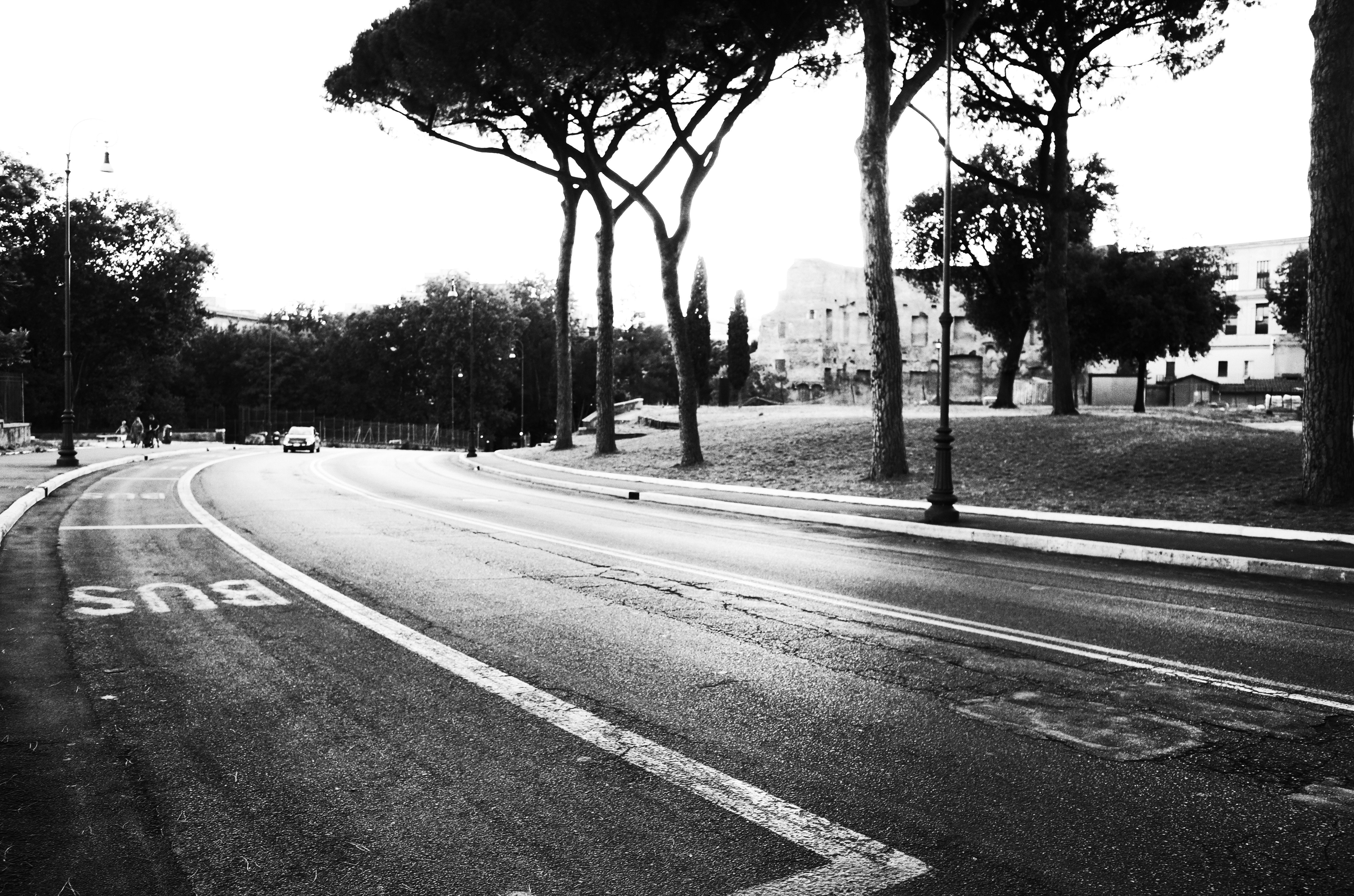 Terravision bus departing from Rome Ciampino Airport