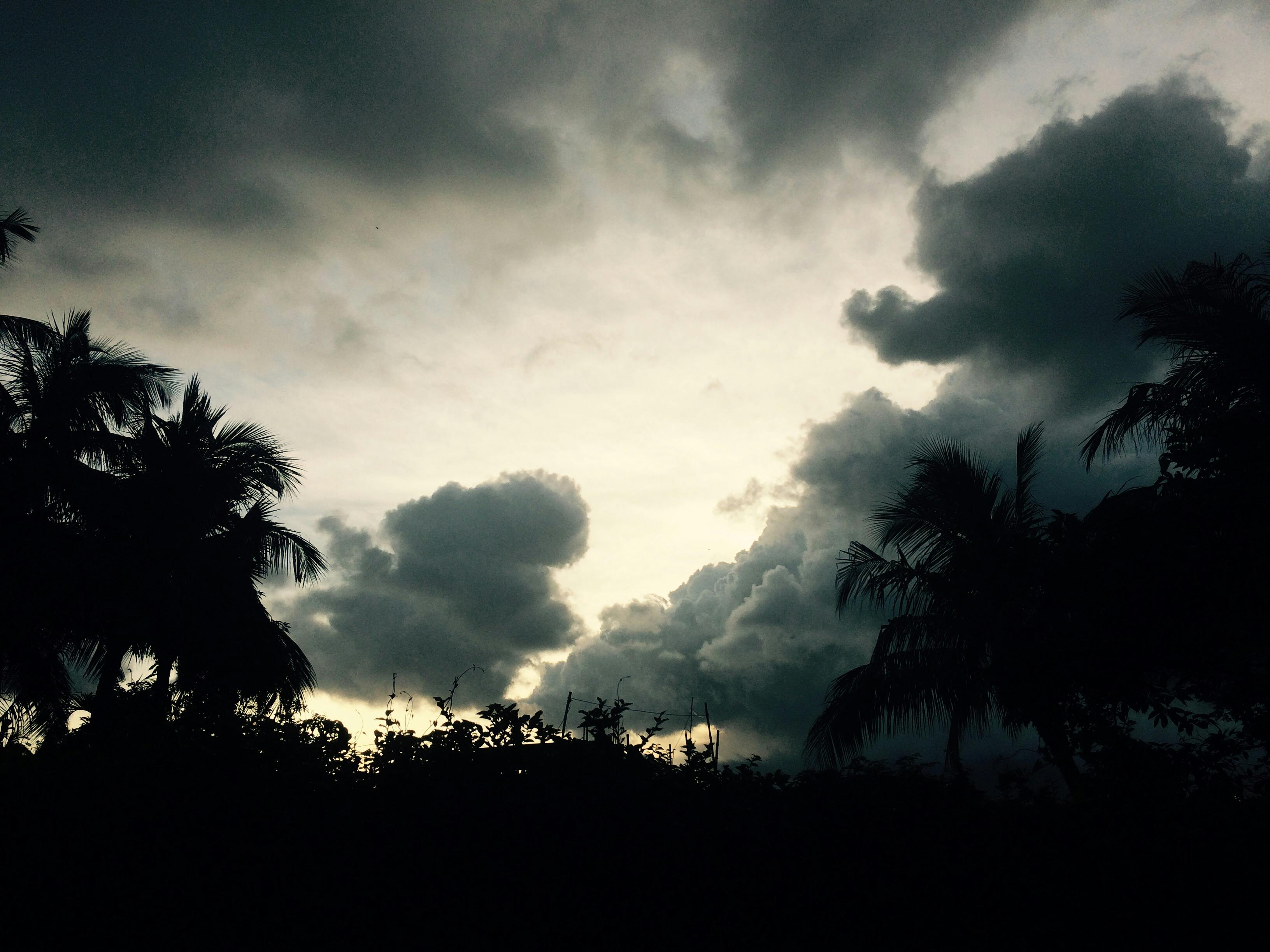 Kendama, ein japanisches Holzspielzeug mit Kugel und Griff
