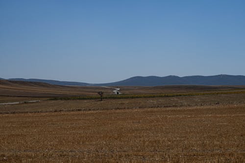 Agricultural Lands Under Blue Sky