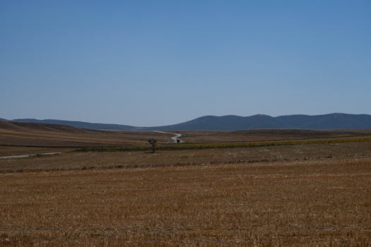 A wide view of rural farmland under a clear blue sky with distant mountains and open fields.