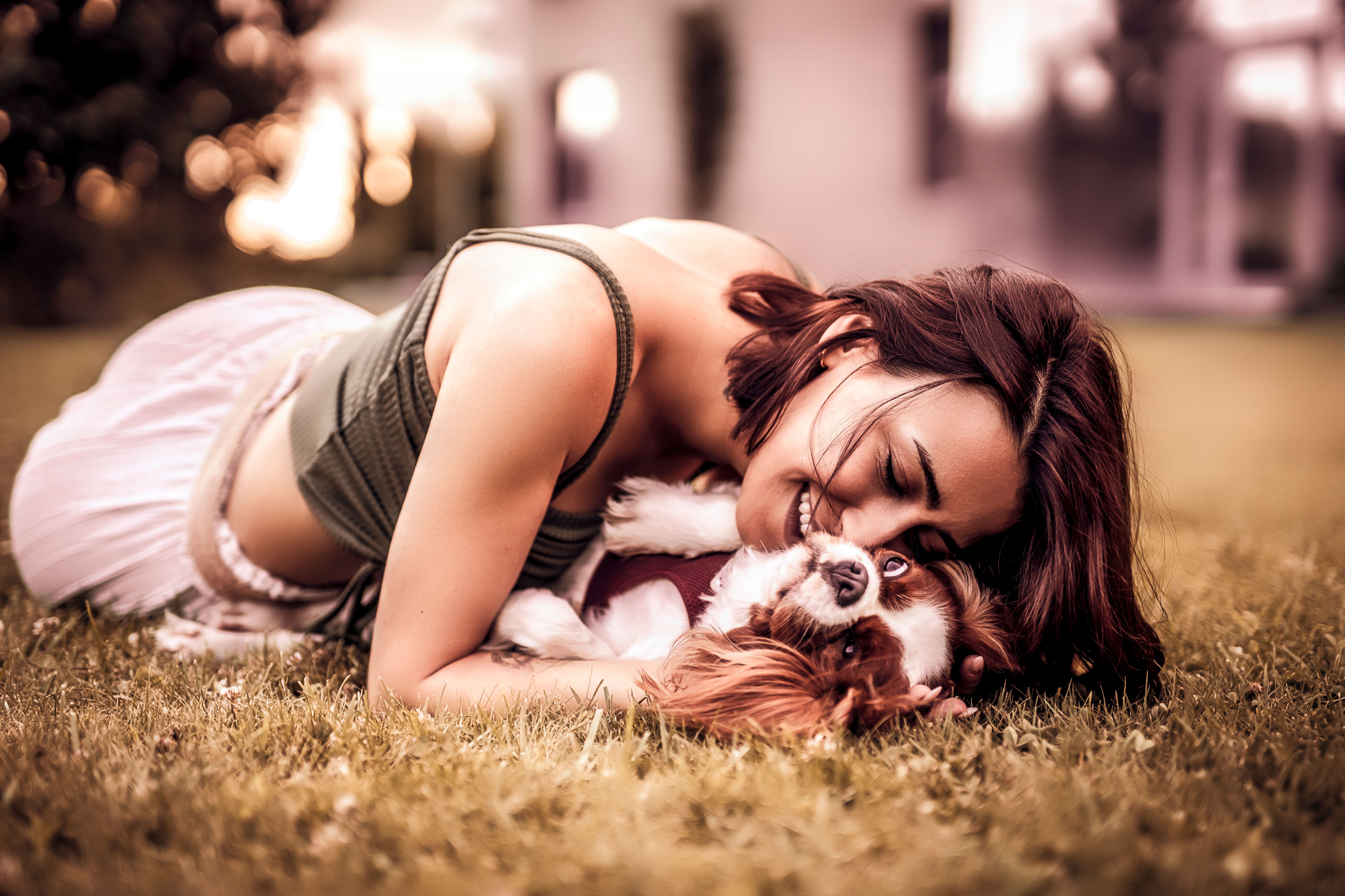 25 Affectionate Small Dog Breeds That Form Incredible Bonds