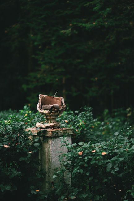 A weathered vase atop a stone pedestal in an untended garden setting, surrounded by lush greenery.