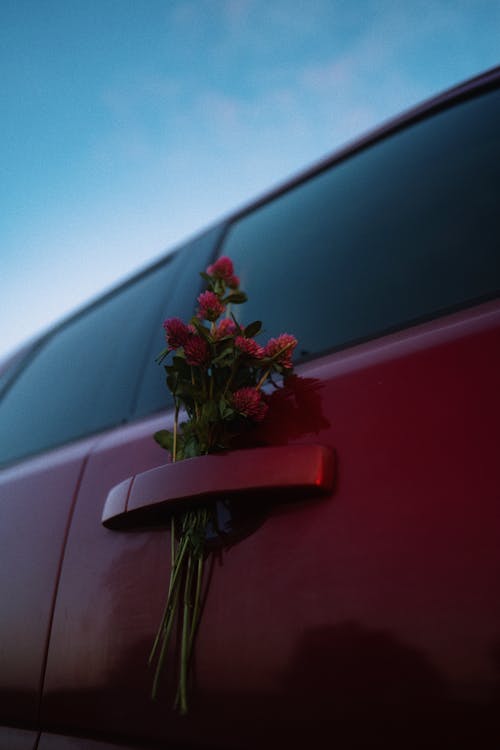 Immagine gratuita di auto, cielo azzurro, esterno