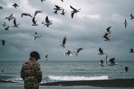A person watches seagulls flying over the ocean shore on a cloudy day.
