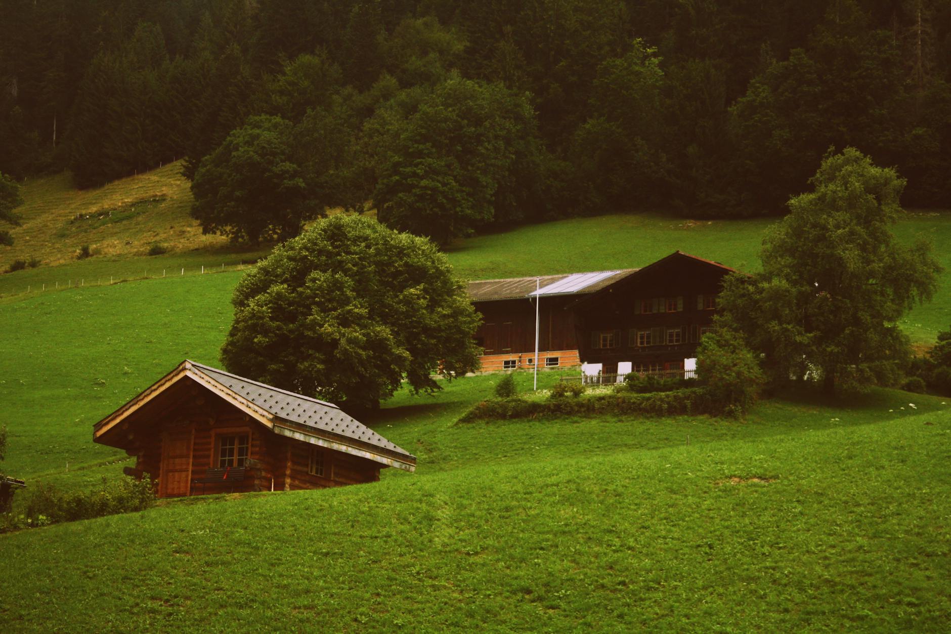 https://www.pexels.com/photo/two-brown-wooden-cabins-in-green-grass-field-900097/