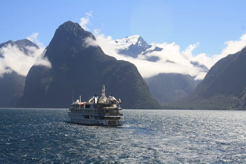 Free stock photo of beautiful, fjord, milford Stock Photo