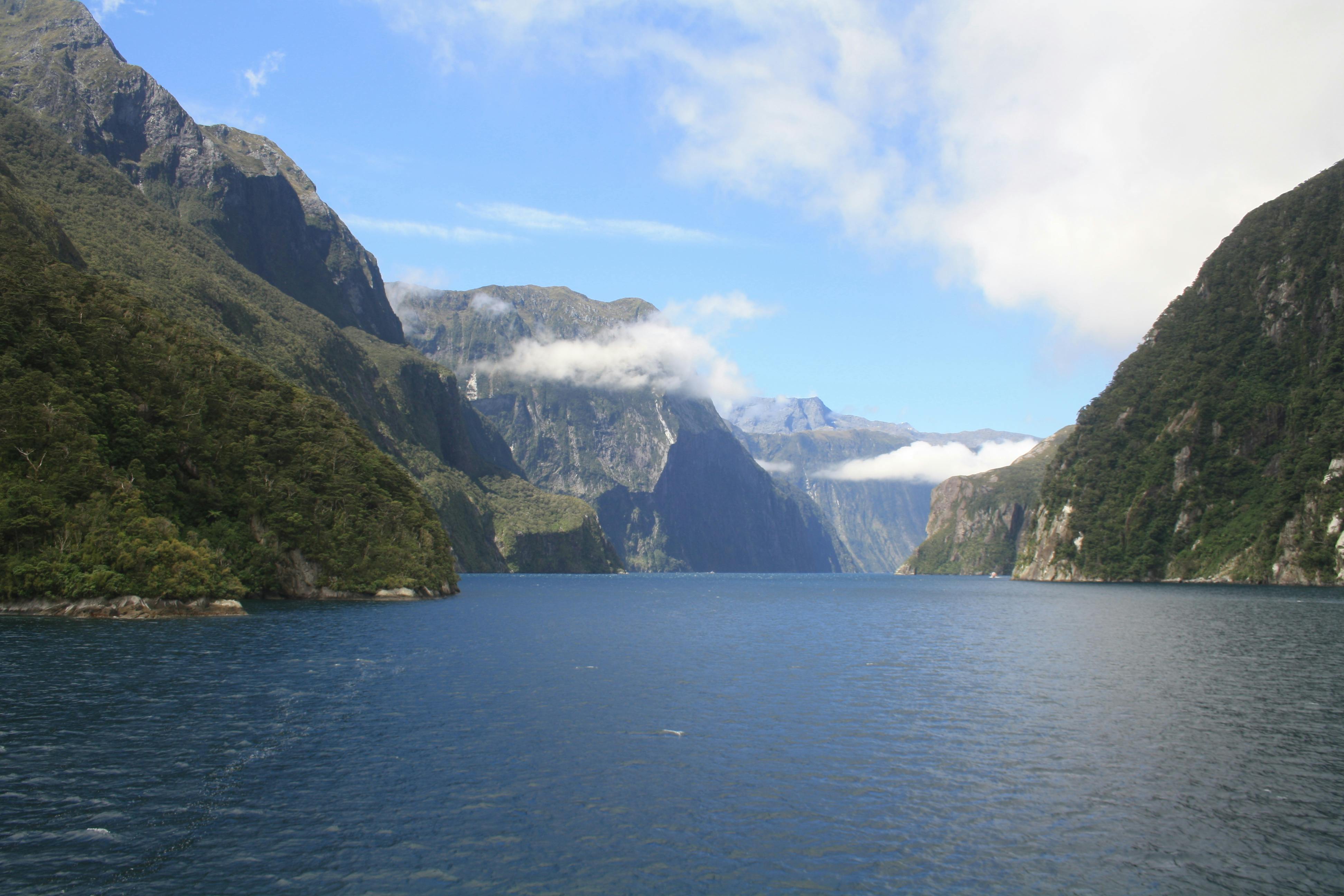 Free stock photo of beautiful, fjord, milford