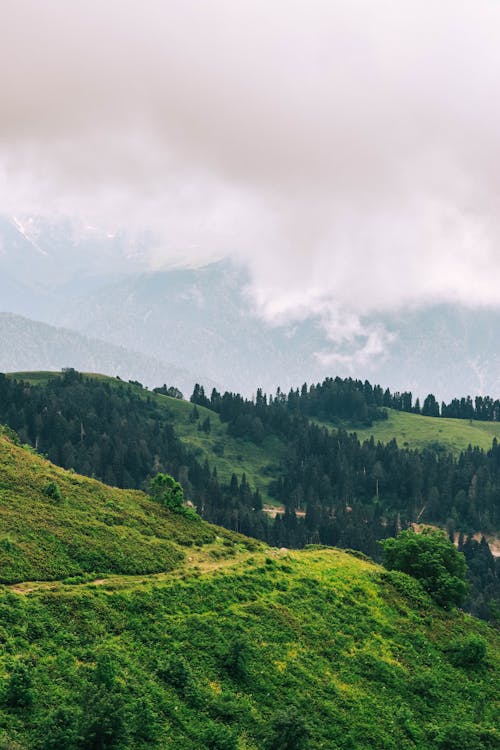 A Beautiful Idyllic Nature Under White Clouds