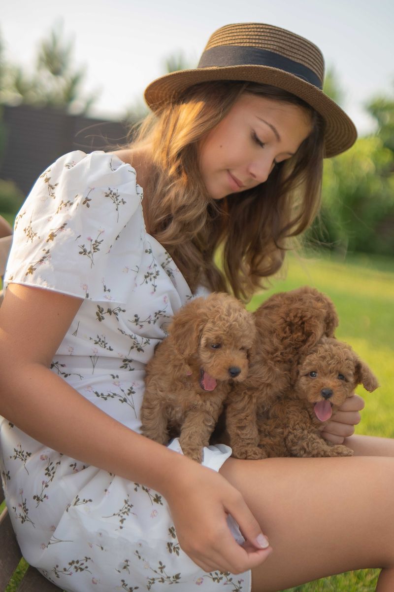 Smiling caregiver holding two poodle puppies