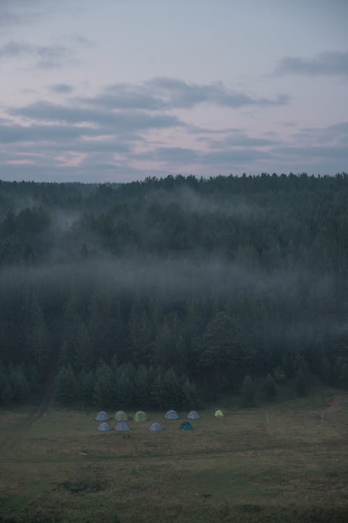 Kostnadsfri bild av campingplats, dimmig, fält