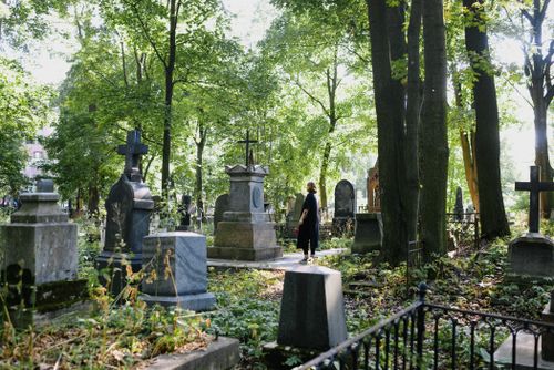 Free A woman in black dress stands amid gravestones in a serene, tree-filled cemetery. Stock Photo