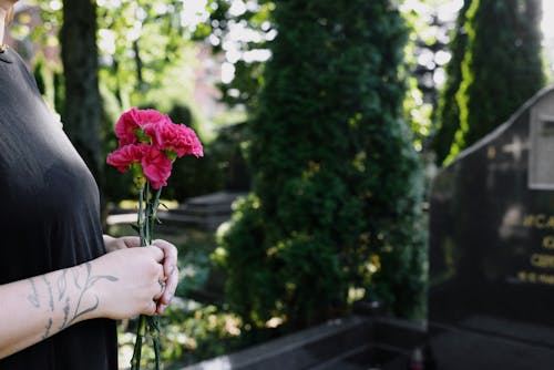 A Person Holding Pink Flowers