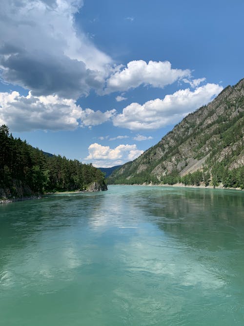 Free Drone Shot of a Scenic Lake Stock Photo