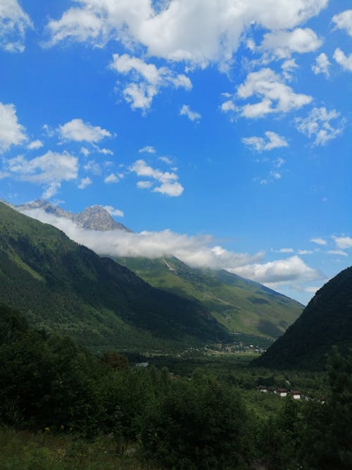 Foto profissional grátis de campo, fotografia da natureza, lago