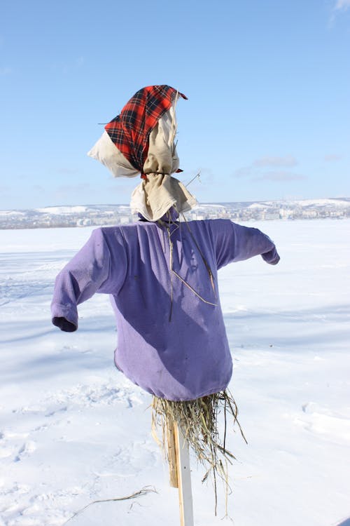 Scarecrow on Snow Covered Land