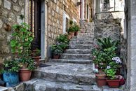 Rustic stone steps with vibrant flowerpots in a quaint Dubrovnik alleyway.