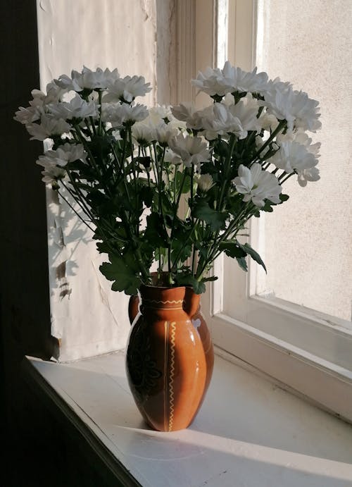 Free Photo of White Flowers in a Brown Vase Near the Window Stock Photo