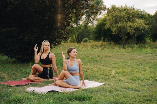 Women Doing Yoga Together on a Grass Field