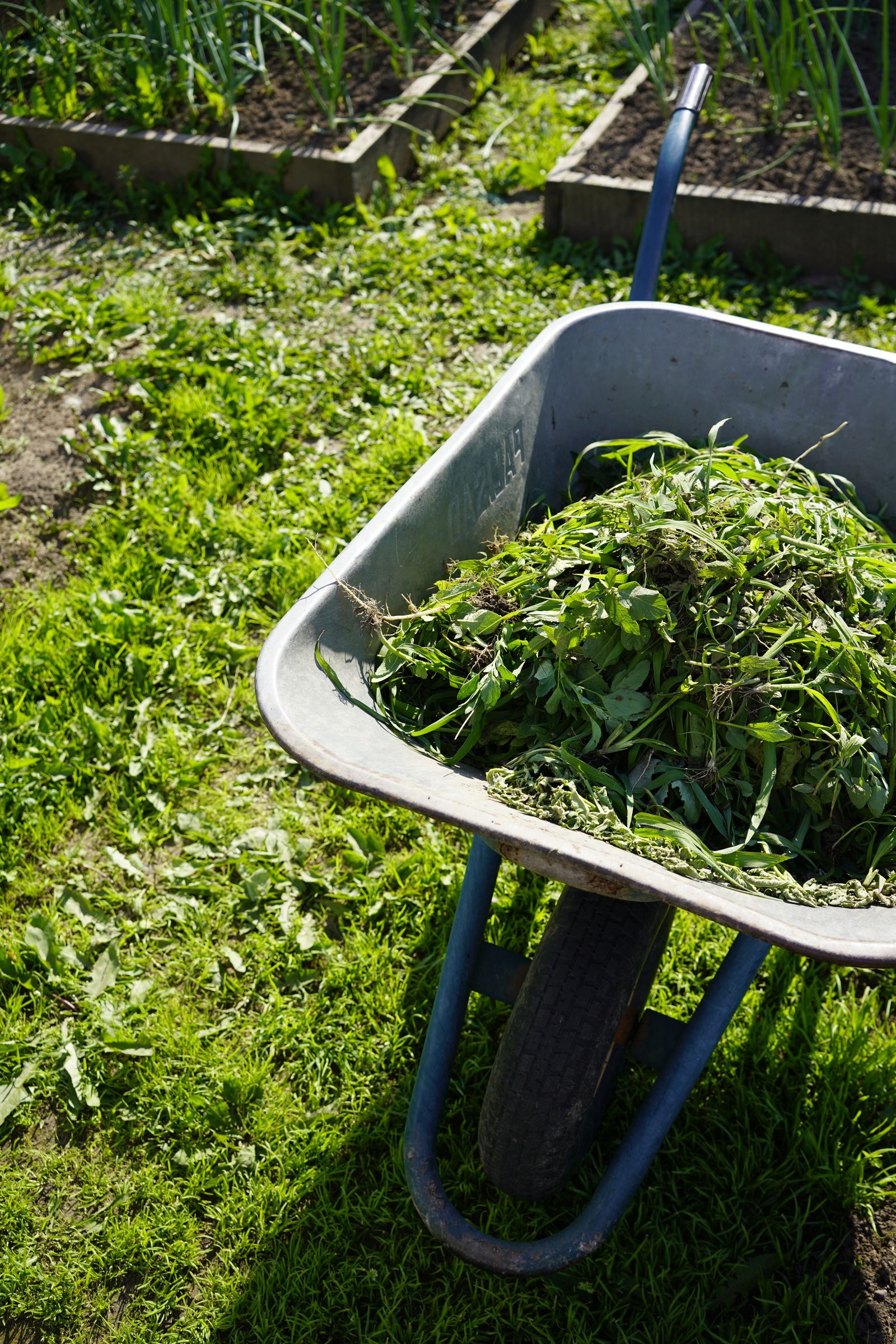 Schubkarre mit Grünschnitt – bodenständiger Gartenservice aus Graz