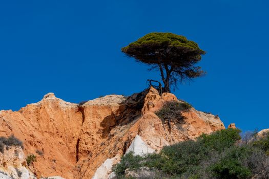 Monchique mountain spa day — Algarve