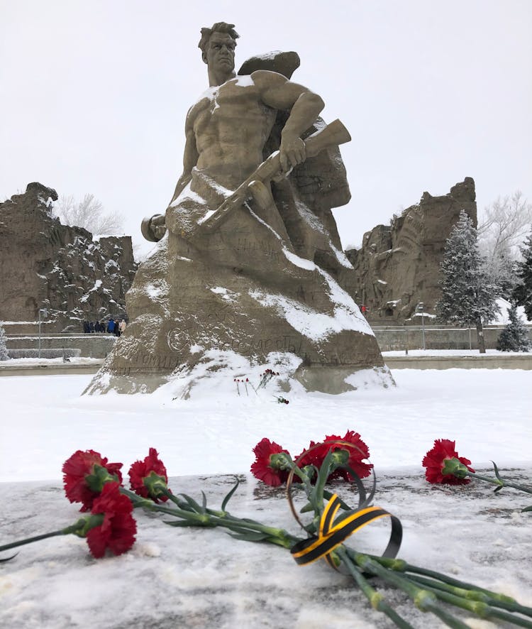 Carnation Flowers Beside Mamayev Kurgan In Winter