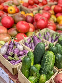 Vibrant display of organic cucumbers, eggplants, and tomatoes at a local farmers market, highlighting fresh produce.
